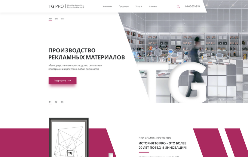 TG Pro website development screenshot 1